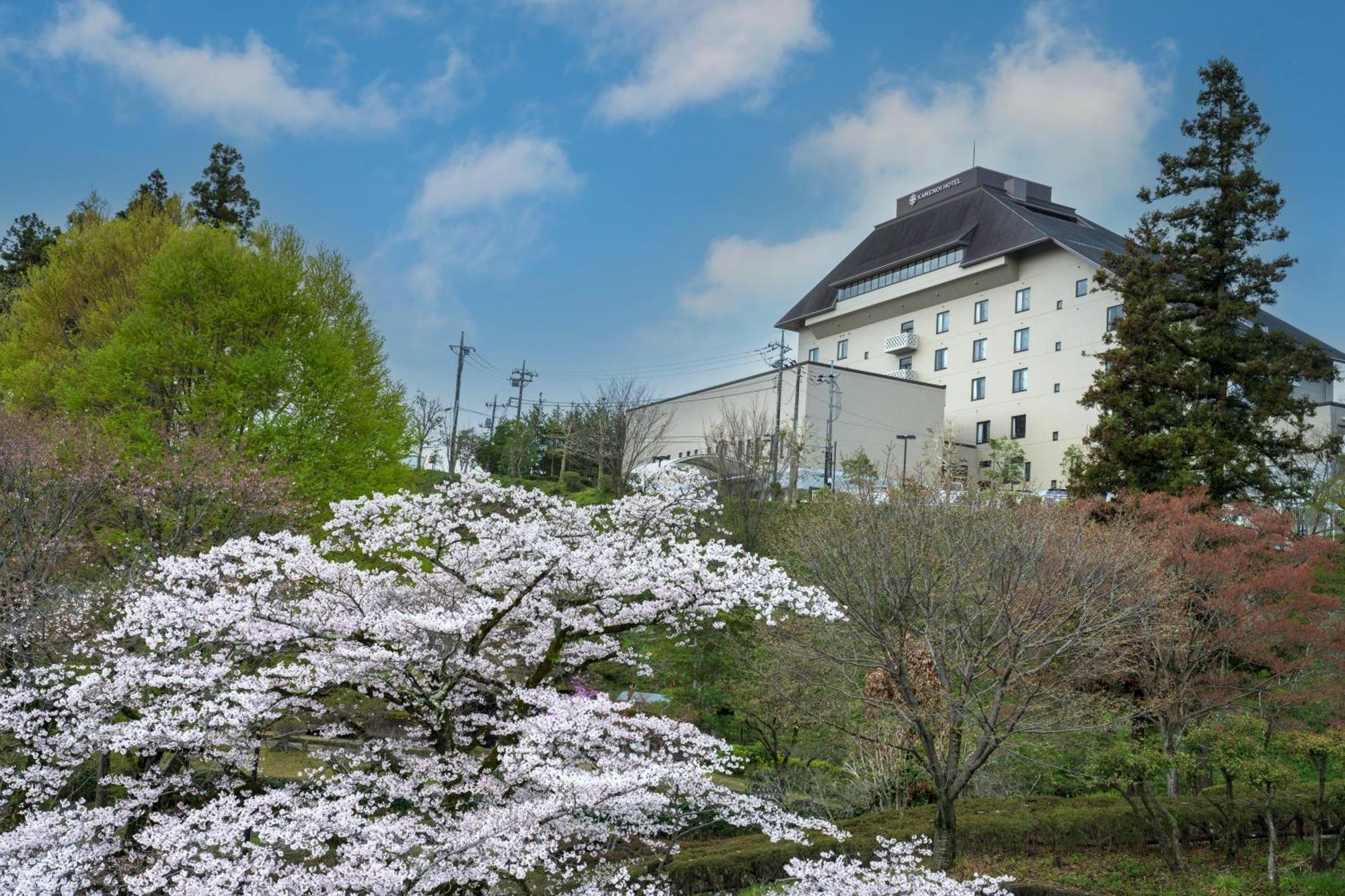 Kamenoi Hotel Ome Екстер'єр фото